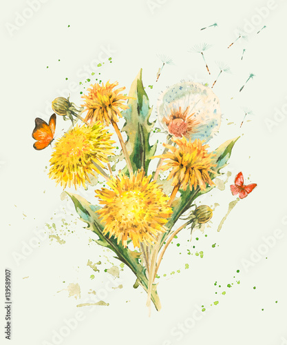Watercolor spring flowers of yellow dandelions