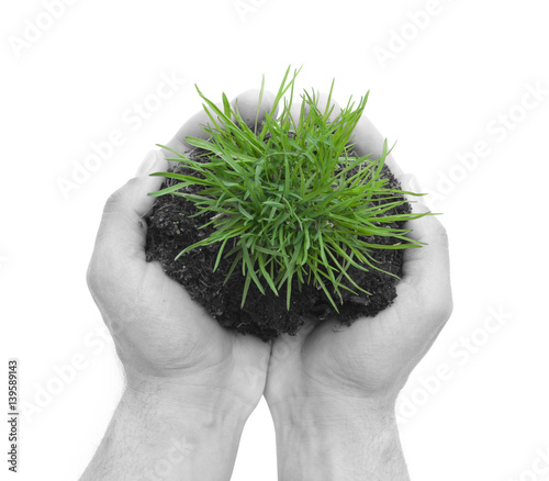 Grasbüschel in der Hand