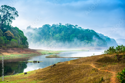 beautiful landscape with wild forest and river with fog in India. Periyar National Park, Kerala, India