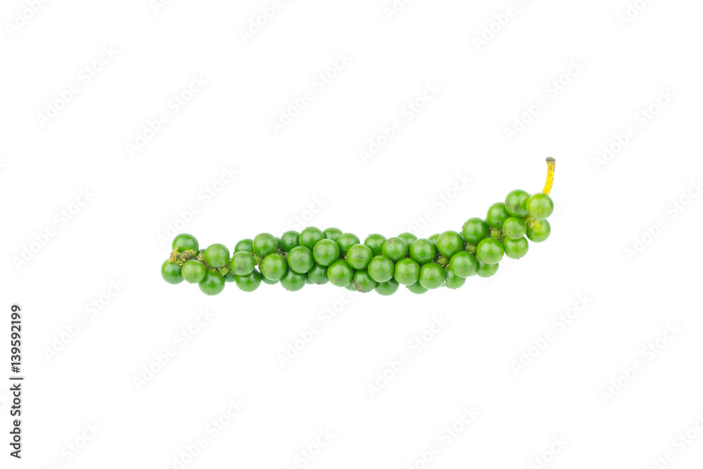 Fresh piper nigrum isolated on a white background Fresh piper nigrum isolated on a white background