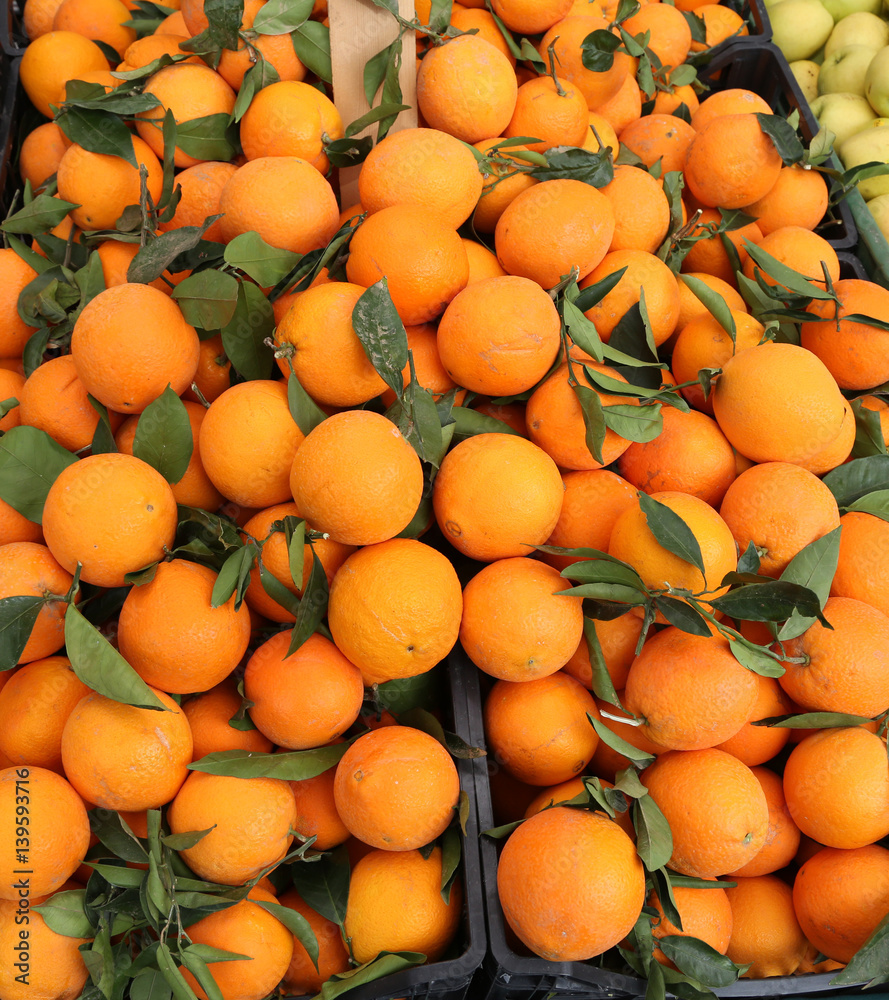 oranges with leaves after the harvest in the Mediterranean orcha