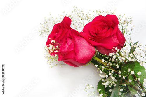 Fototapeta Naklejka Na Ścianę i Meble -  Beautiful red roses with gypsophila flowers on a white background