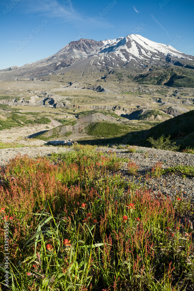 Fototapeta premium Mount St Helene, WA, USA