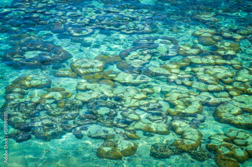 coral reef and crystal clear water at tropical beach