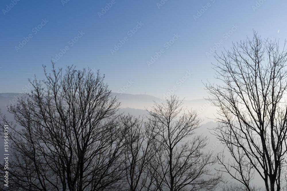 View from Yburg castle in direction mountain Hornisgrinde with fog in the valley and trees in foreground View from Yburg castle in direction mountain Hornisgrinde with fog in the valley and trees in foreground