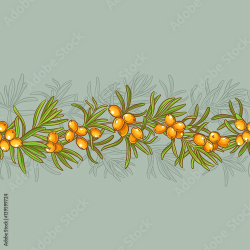 sea buckthorn vector pattern