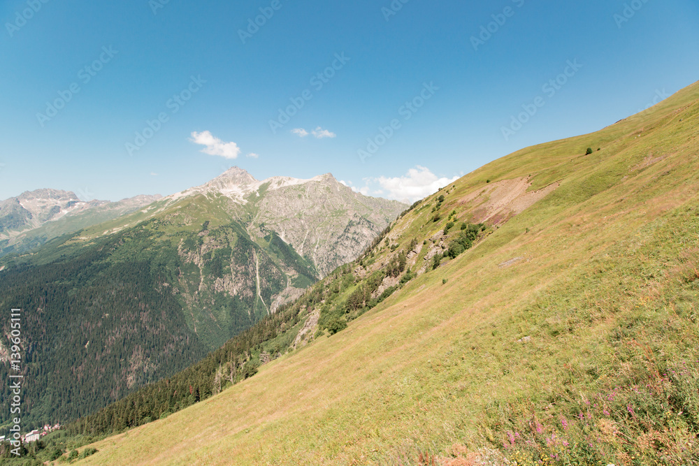 Hill covered with green grass and sky Hill covered with green grass and sky