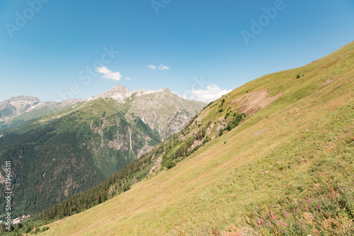 Hill covered with green grass and sky