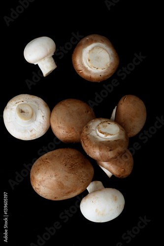 Organics White and brown Mushrooms isolated on black