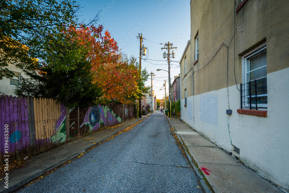 Obraz premium Autumn color in an alley near Hollin's Market, in Baltimore, Maryland.