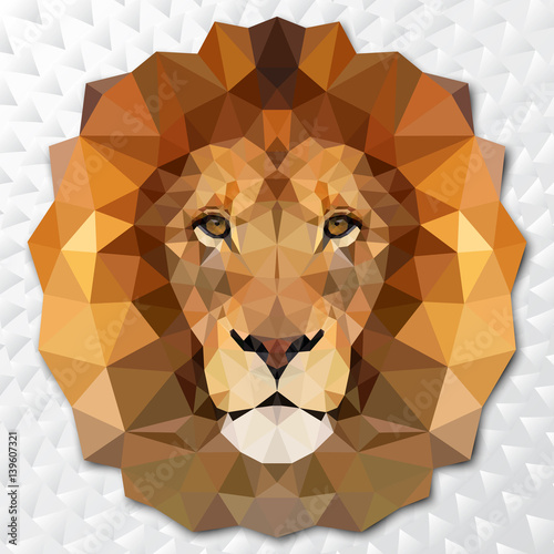 The muzzle lion vector illustration with high-detailed eyes, consisting of triangles. Low poly design photo