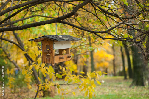 Bird feeder hanging on the tree in autumn park on blurred background of yellow leaves and trees.