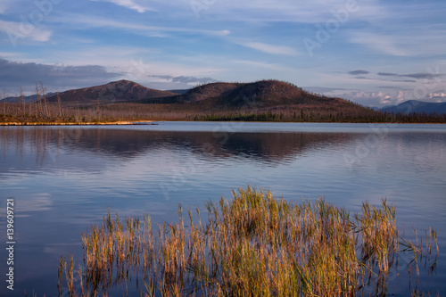 Grass growing in the water on the lake. Lake Labynkyr. Yakutia. Russia. © olenyok