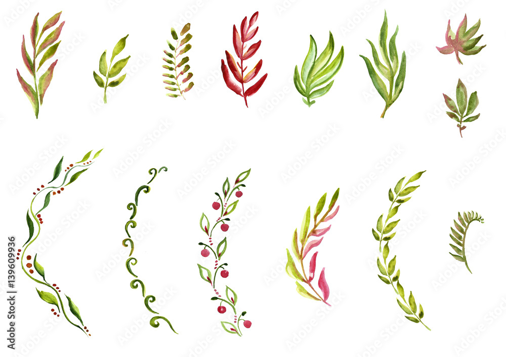 watercolor branches of different styles watercolor branches of different styles