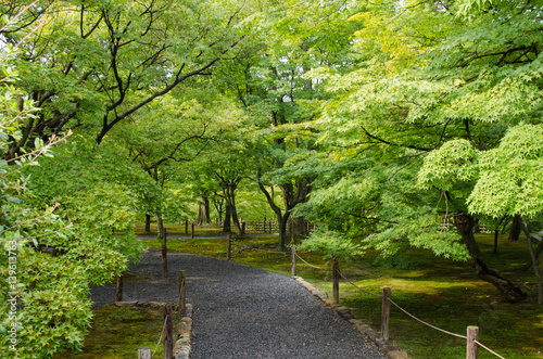 Park in Japan