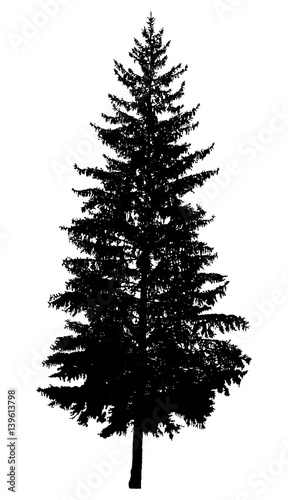 Silhouette of pine tree. Hand made.
