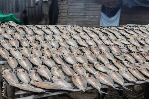 Foto Fish drying in the village of Porto Alegre in Sao Tome and Principe