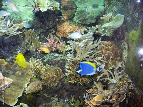unterwasserwelt