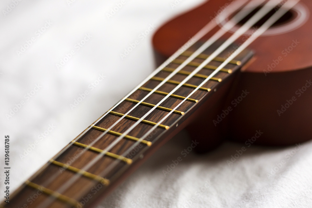 Fototapeta premium Ukulele