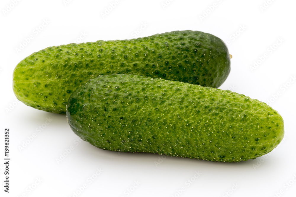 The first spring ecologically cucumbers. The first spring ecologically cucumbers.