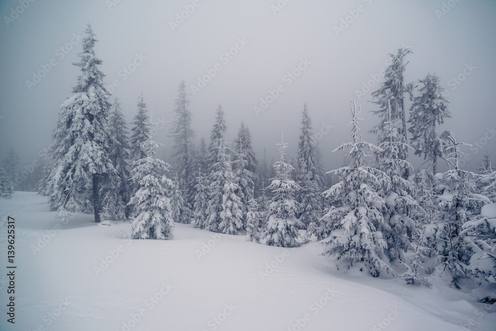 beautiful wintry landscape beautiful wintry landscape