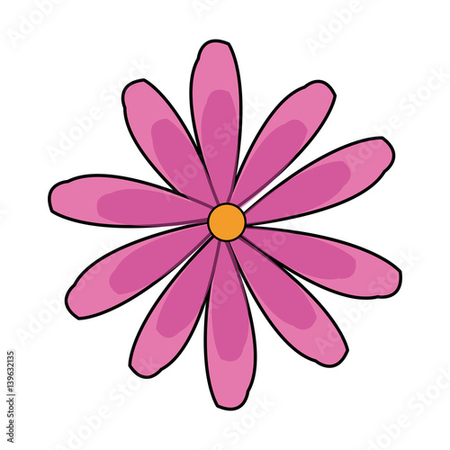 pink flower icon image vector illustration design