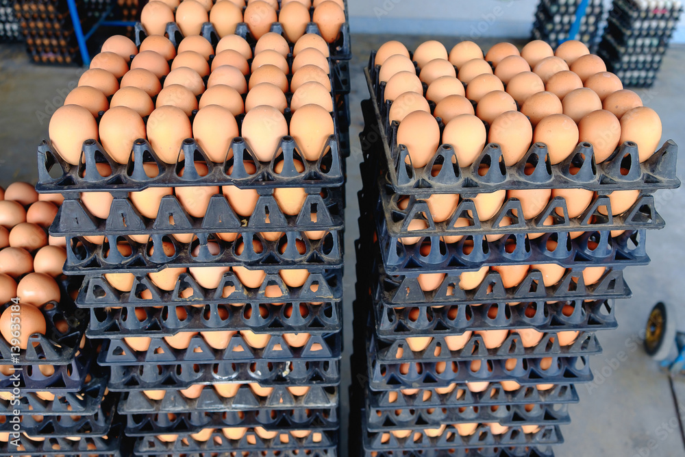 Eggs from hen farm in the package that preserved for sale. Eggs from hen farm in the package that preserved for sale.