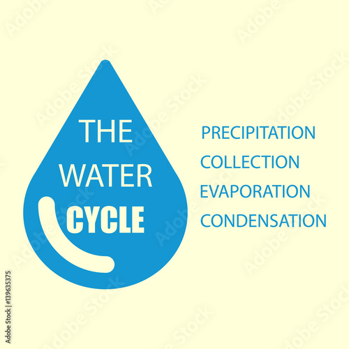 Water cycle infographics title. The water cycle steps : precipitation, collection, evaporation and condensation. Vector illustration