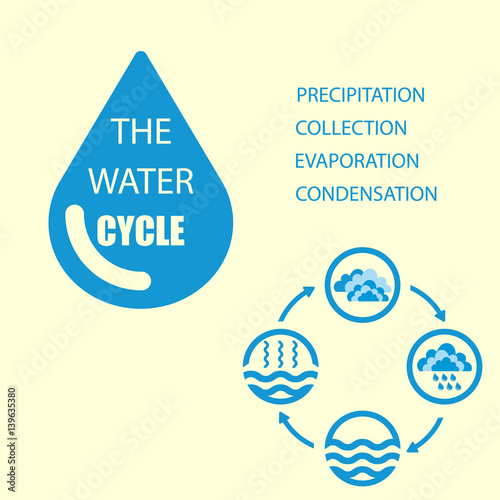 Water cycle infographics. The water cycle vector diagram of precipitation, collection, evaporation and condensation, icons set. Vector illustration