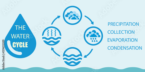 Water cycle infographics. The water cycle vector diagram of precipitation, collection, evaporation and condensation, icons set. Vector illustration