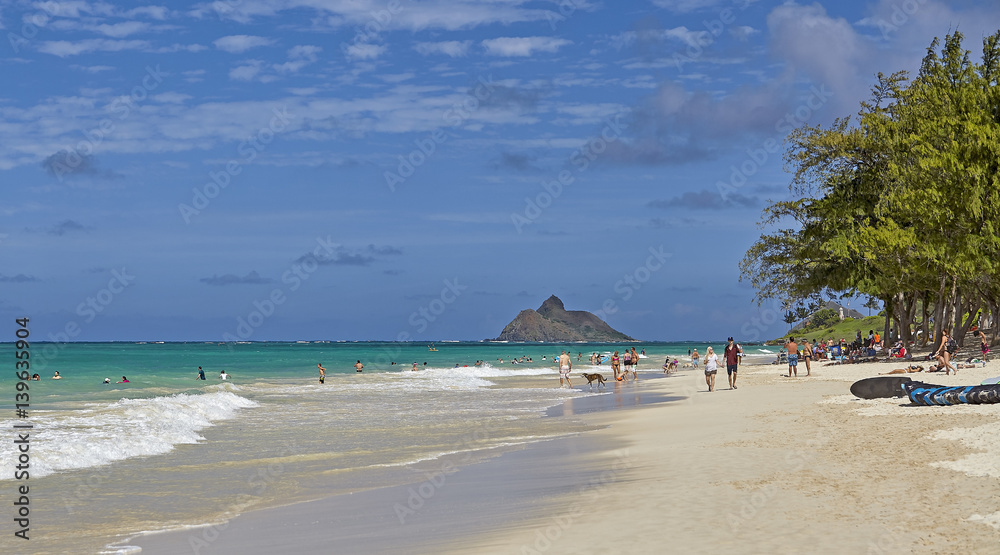 Locals and tourists on the shores of Kailua Bay Hawaii