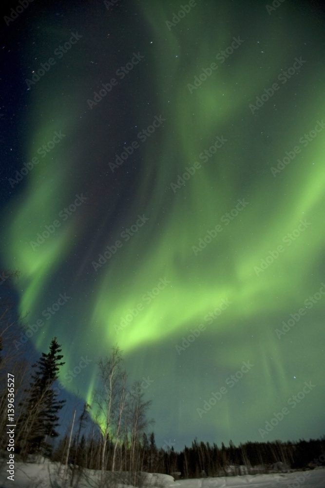 カナダのオーロラ Yellowknife of aurora