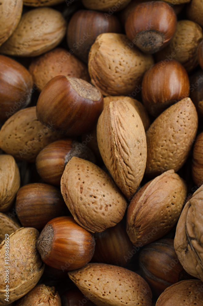 Mixed Selection of Nuts in Shells from Above Mixed Selection of Nuts in Shells from Above