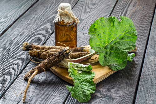 Roots and leaves of burdock (Arctium lappa), burdock oil in bottle