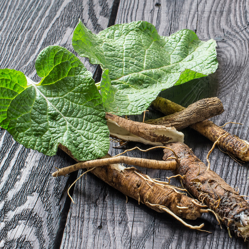 Medicinal plant burdock (Arctium lappa) on a dark wooden background photo