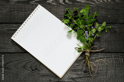 Medicinal plant Glechoma hederacea and notebook
