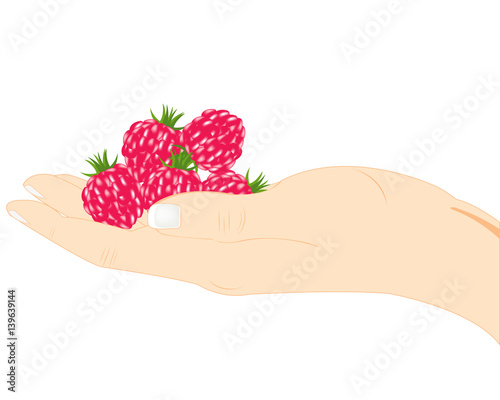 Raspberry on palm