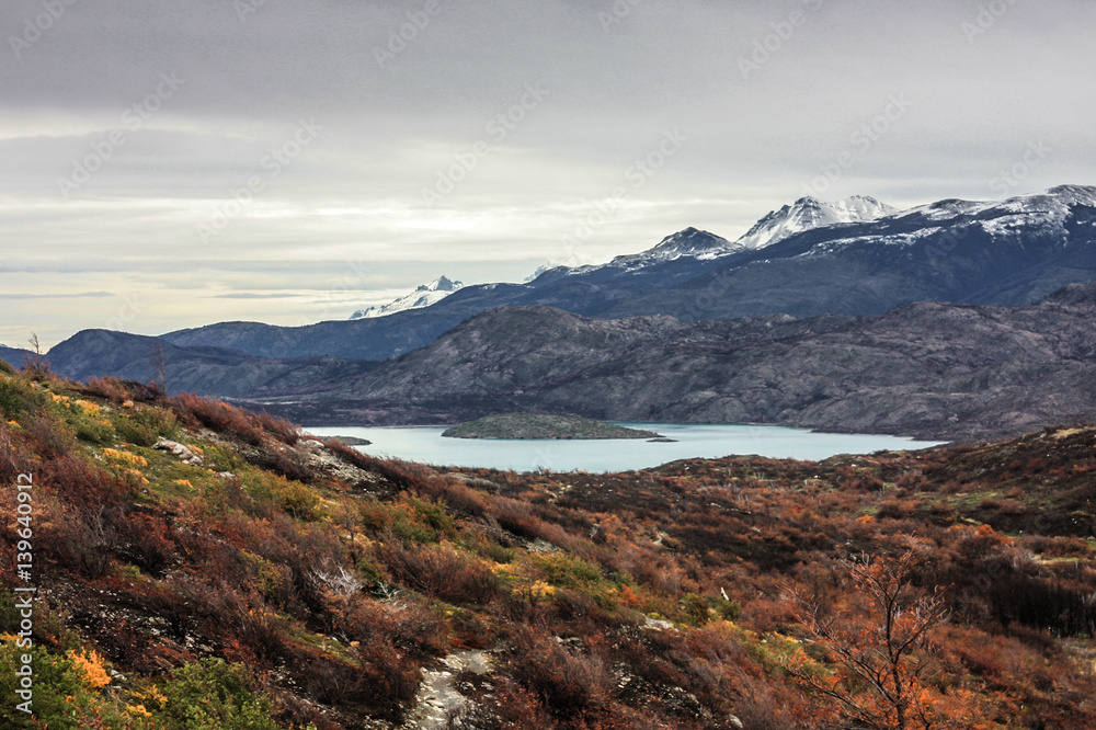 After the fire in Torres del Paine National Park, Patagonia, Chile