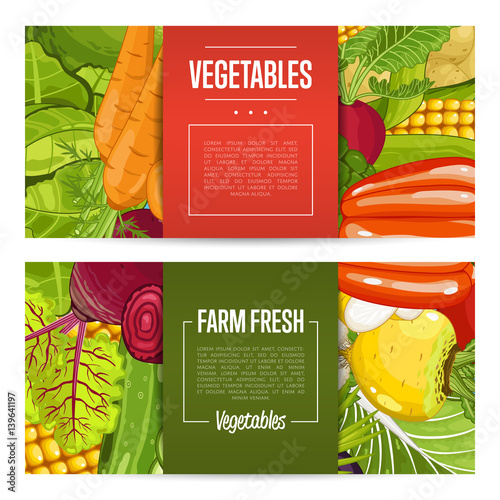 Fresh farm food banners vector illustration. Natural vegetable, organic farming retail, vegan product store poster. Healthy farm food advertising with potato, corn, cabbage, tomato, radish, pepper