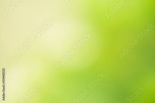 Abstract green blurred natural background
