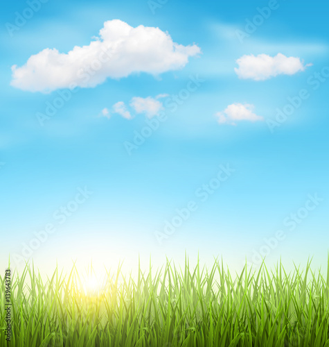 Green Grass Lawn with Clouds and Sun on Light Blue Sky