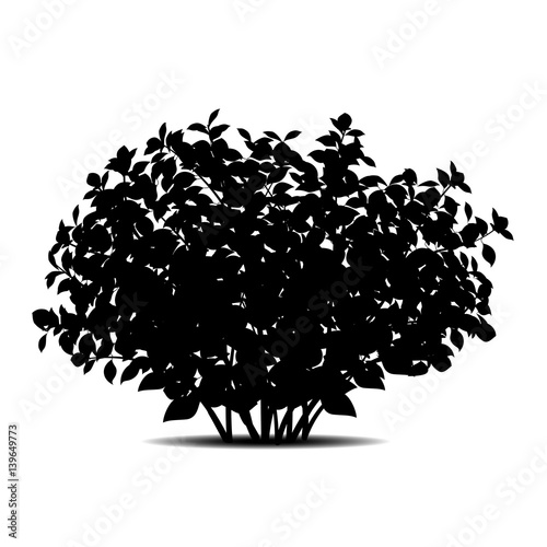 silhouette bush with leaves and shadow