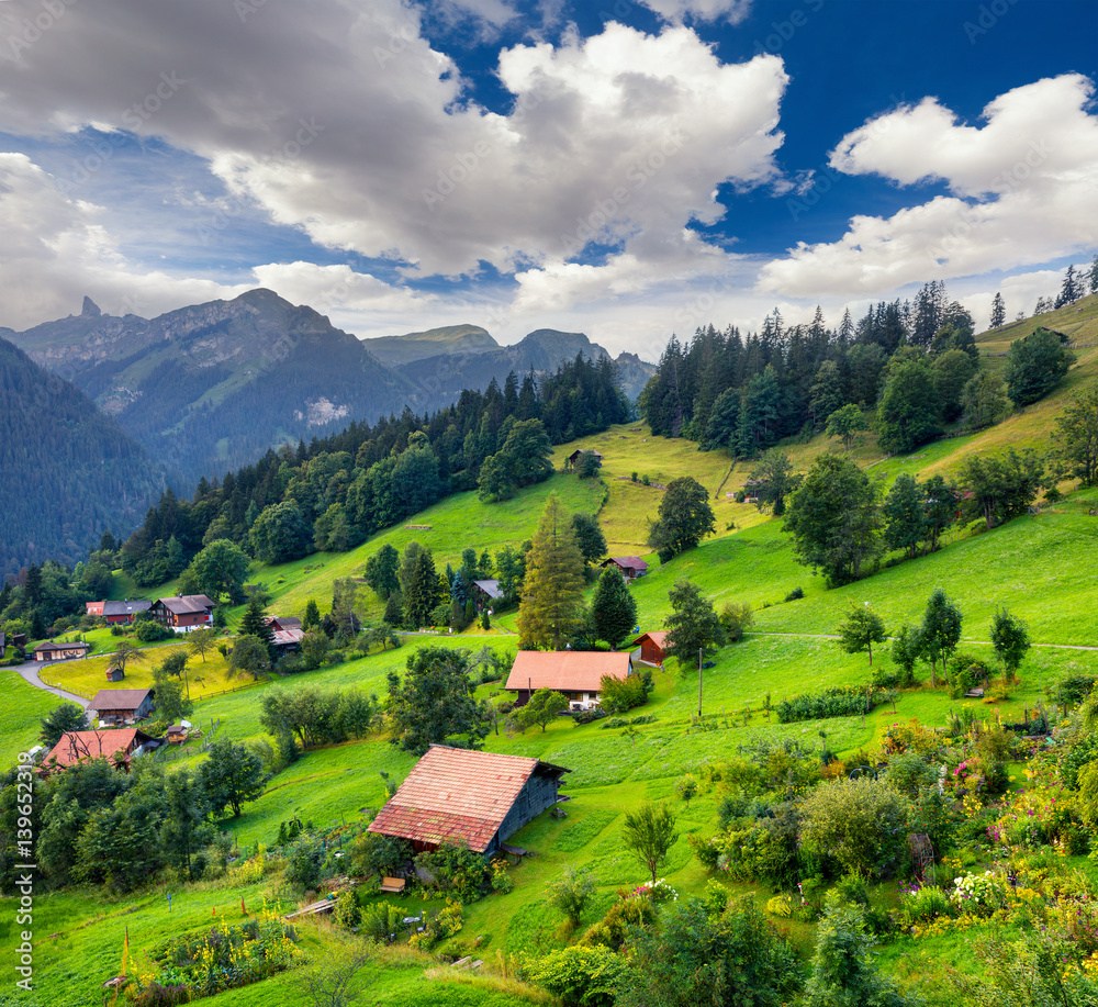 Colorful summer view of Wengen village.