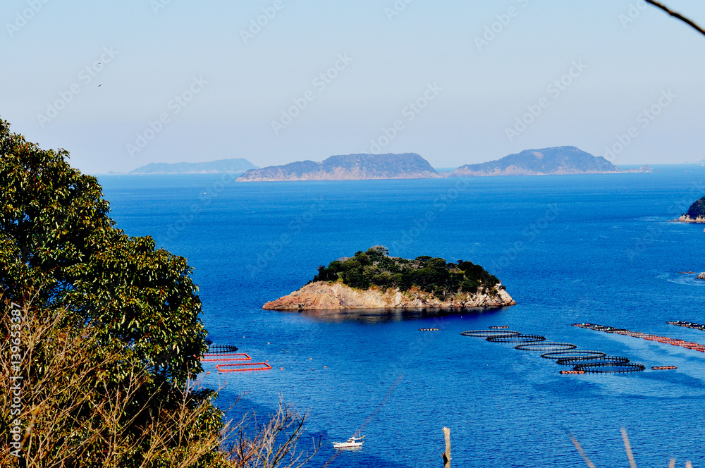豊後水道河津桜まつり Photos Adobe Stock