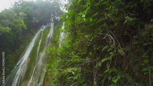 Beautiful green plants at the foot of the incredible high raging waterfall photo