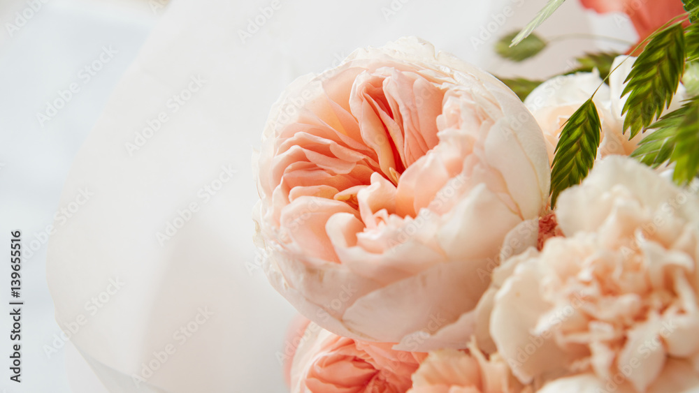 Roses on white background Roses on white background