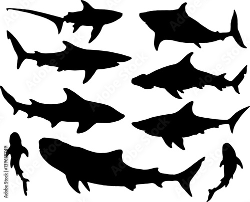 set of shark silhoettes