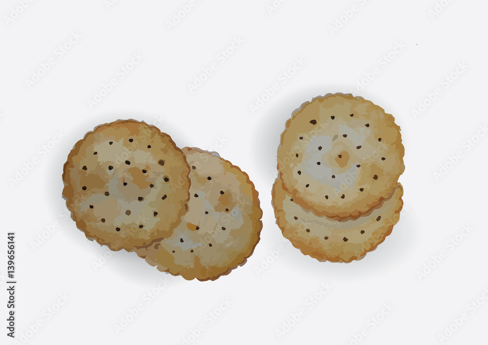 crackers hand drawn watercolor painting isolated picture crackers hand drawn watercolor painting isolated picture