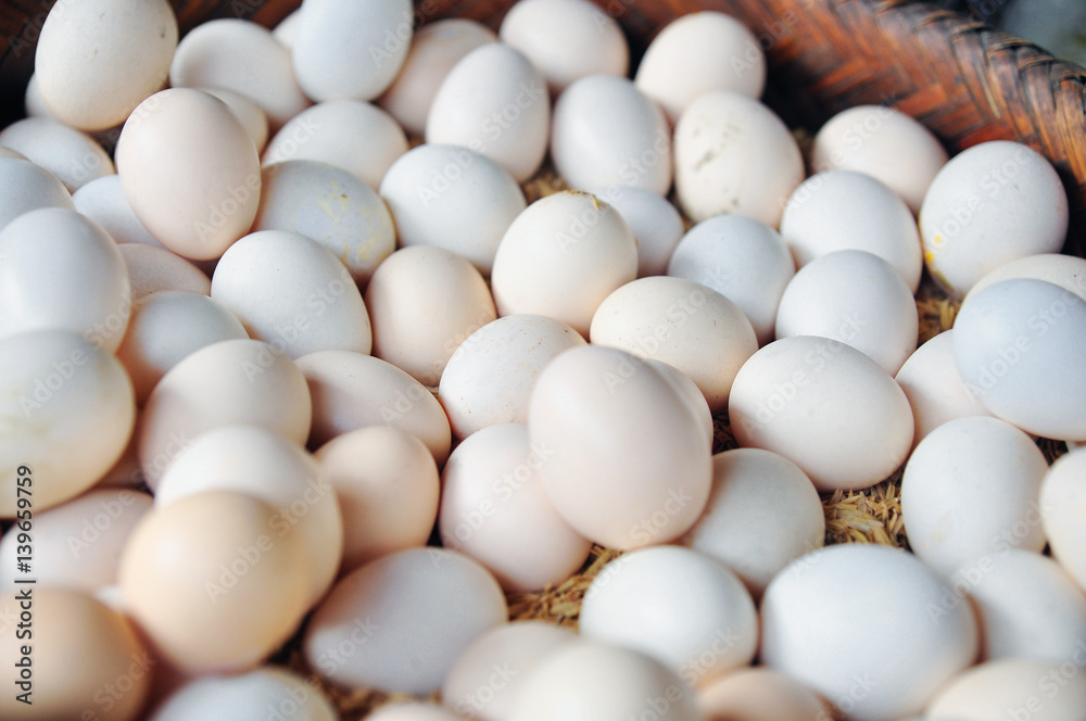 White chicken eggs White chicken eggs