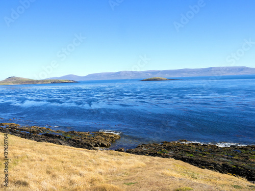 inhospitable coast carcass, Falkland Islands - Malvinas